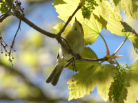 Parque de Los Llanos